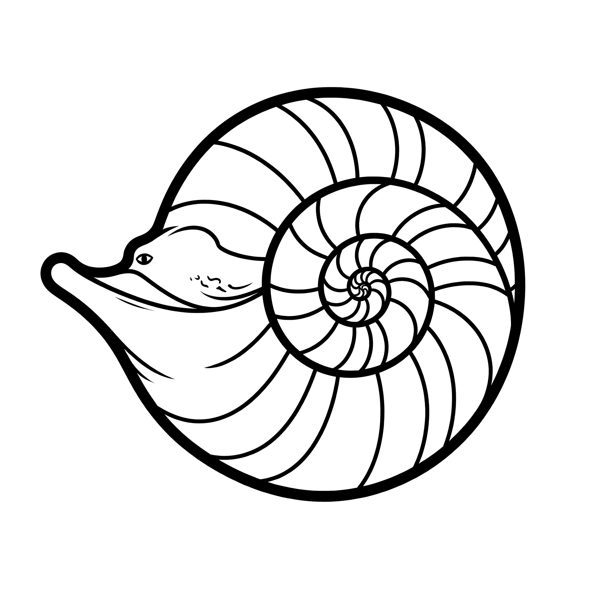 Nautilus Shell Spiral
