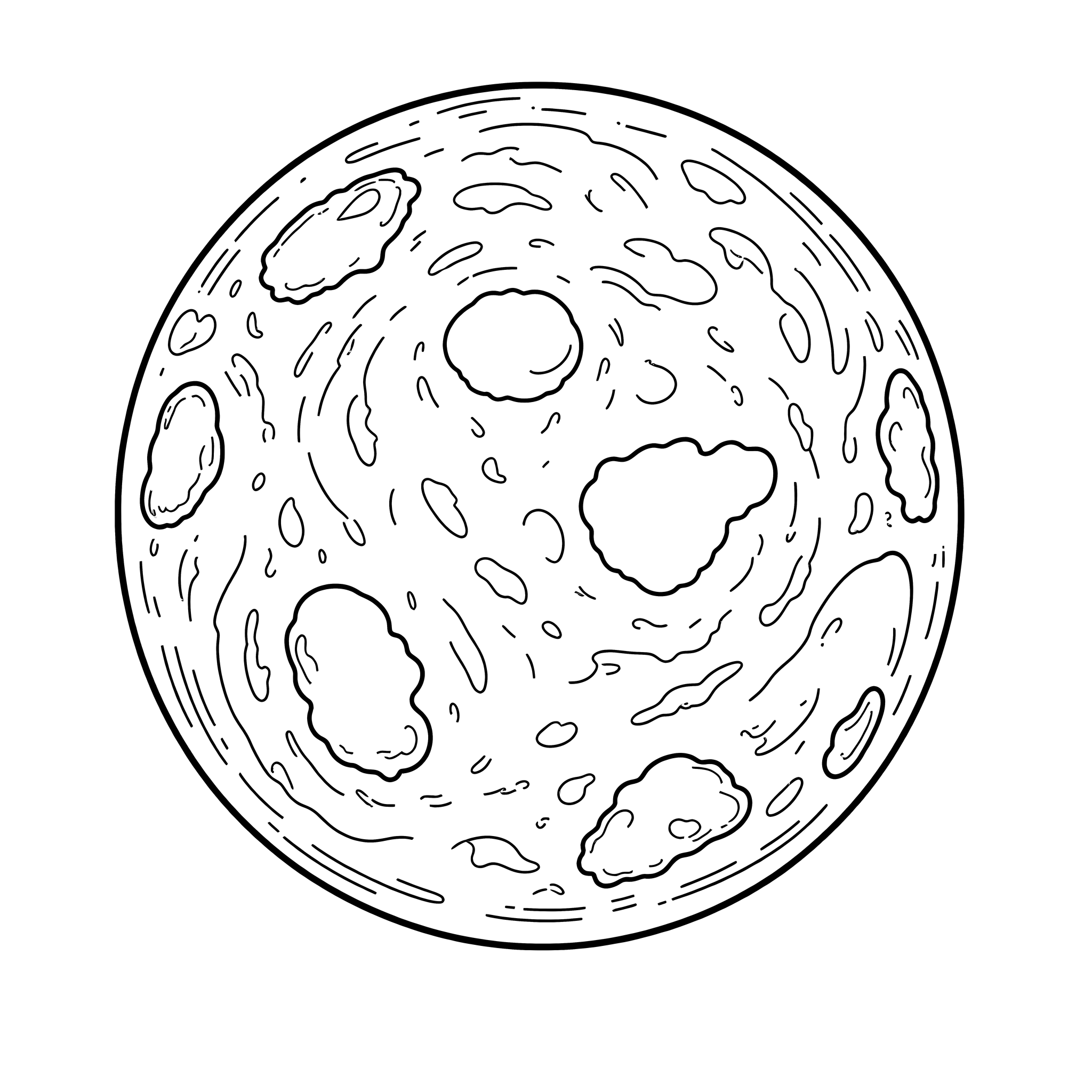 Noche de Luna de Trébol