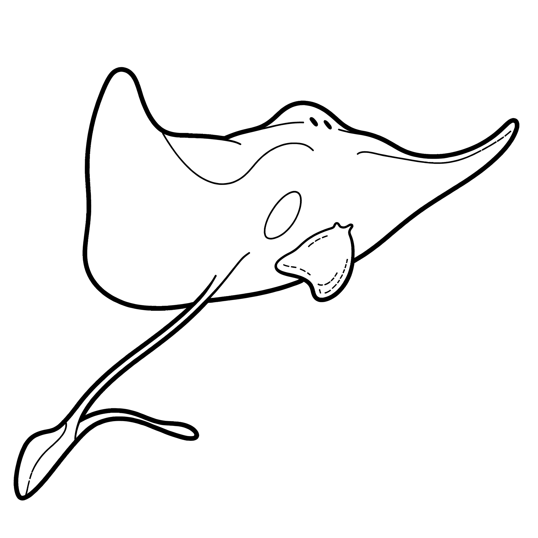 Graceful Manta Ray